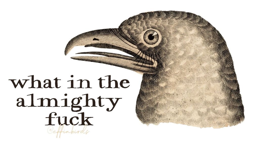 A painting of a bird next to the words "what in the almighty fuck"
