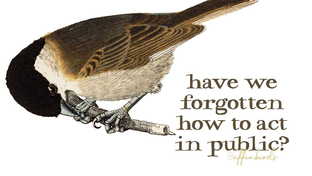 A painting of a bird next to the words "have we forgotten how to act in public?"