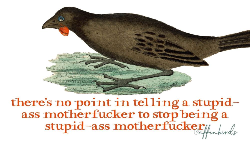 A painting of a bird next to the words "there's no point in telling a stupid-ass motherfucker to stop being a stupid-ass motherfucker"