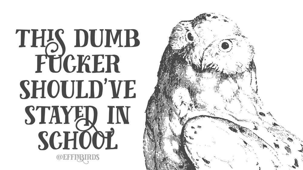 A painting of a bird next to the words "this dumb fucker should've stayed in school"