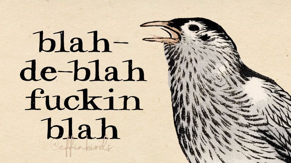 A painting of a bird next to the words "blah-de-blah fuckin blah"