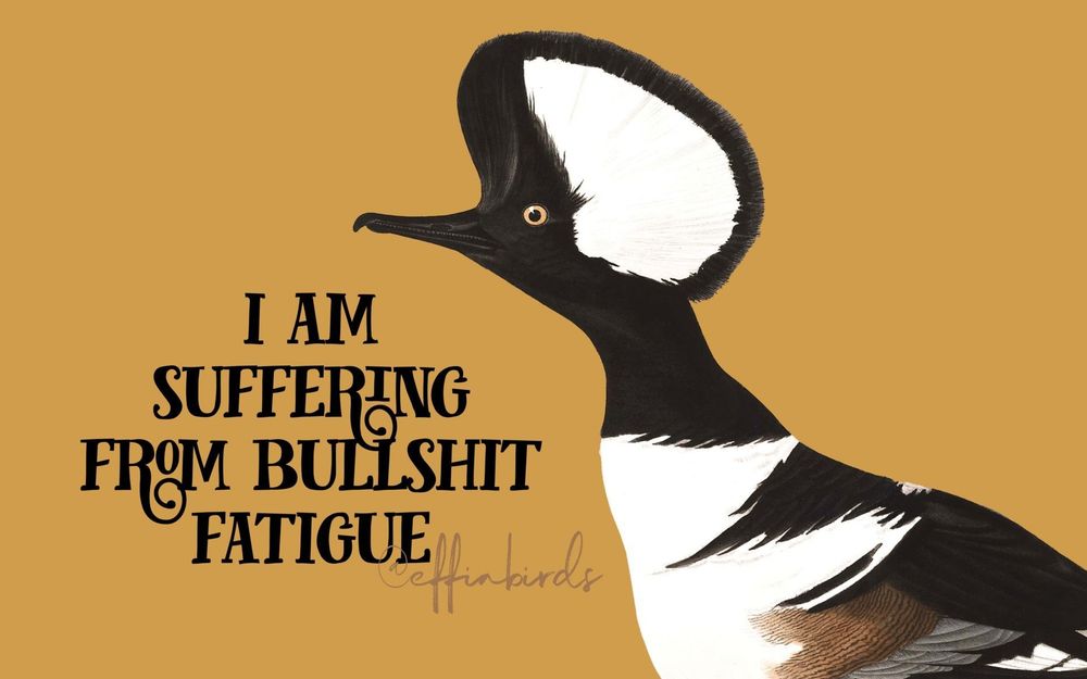 A painting of a bird beside the text "I am suffering from bullshit fatigue"