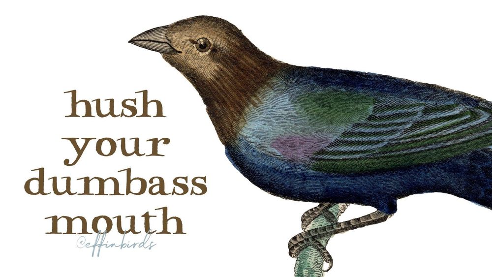 A painting of a bird next to the words "hush your dumbass mouth"