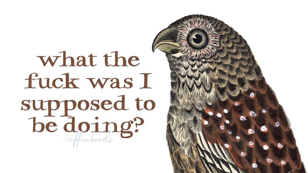 A painting of a bird next to the words 