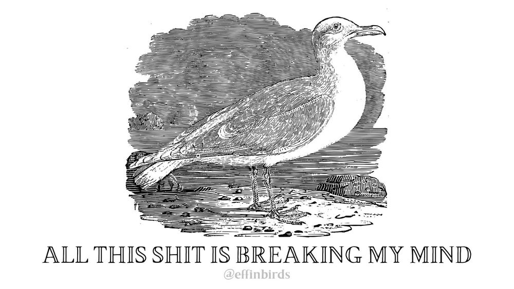 A painting of a bird next to the words"all this shit is breaking my mind"