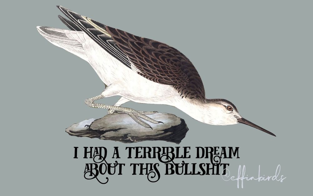 A painting of a bird beside the text "I had a terrible dream about this bullshit"