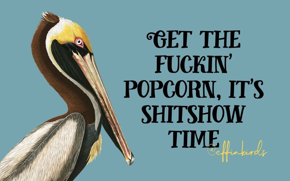 A painting of a pelican beside the text "Get the fuckin popcorn, it's shitshow time"
