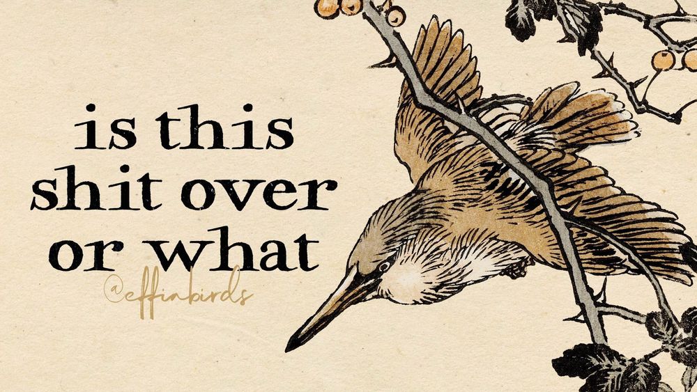 A painting of a bird next to the words "is this shit over or what"