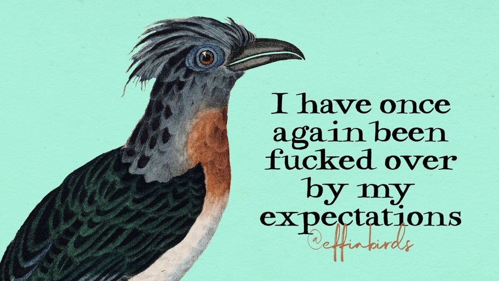 A painting of a bird beside the text "I have once again been fucked over by my expectations"