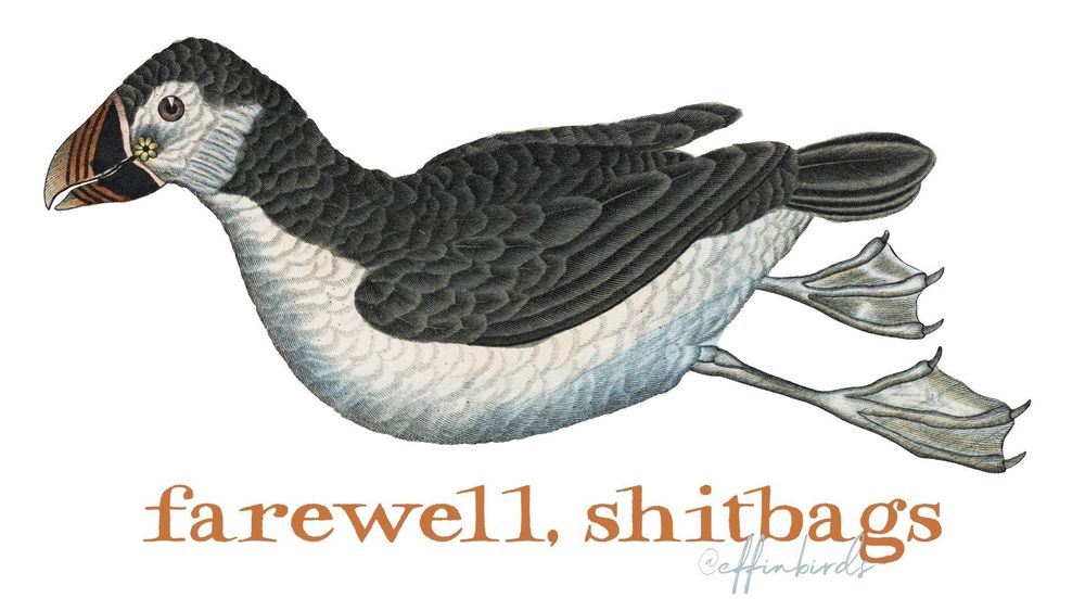 A painting of a bird next to the words "farewell, shitbags"
