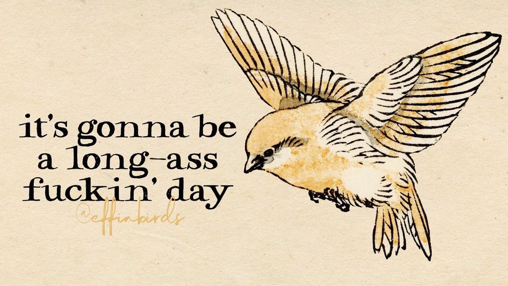 A painting of a bird next to the words "it's gonna be a long-ass fuckin' day"
