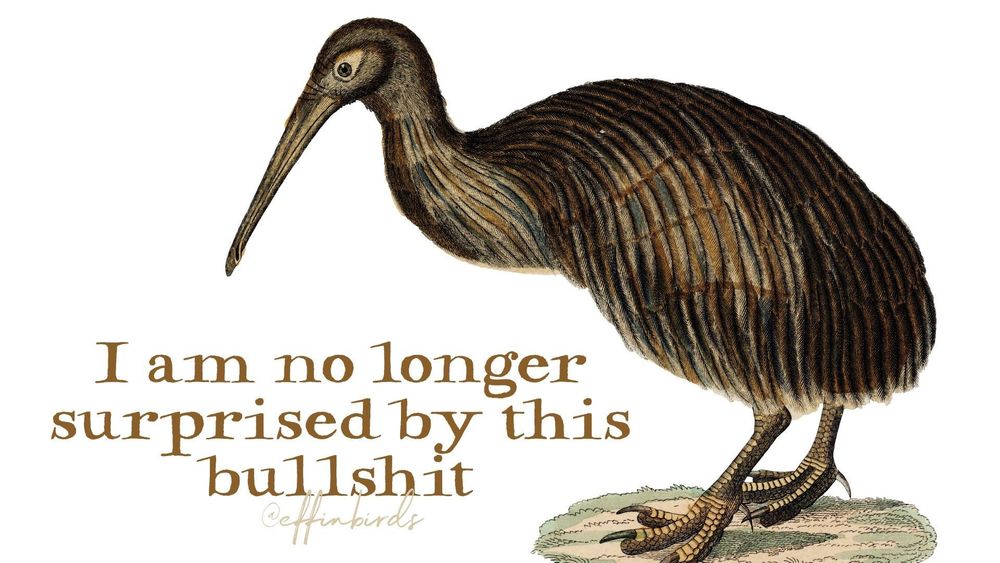 A painting of a bird next to the words "I am no longer surprised by this bullshit"