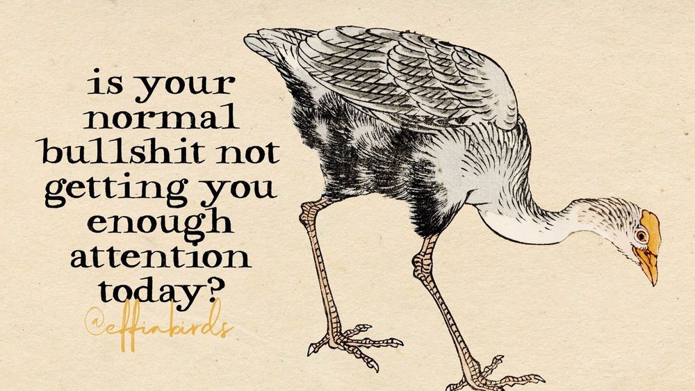 A painting of a bird next to the words "is your normal bullshit not getting you enough attention today?"