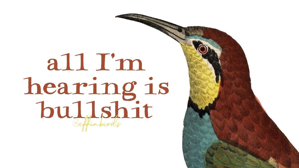 A painting of a bird next to the words "all I'm hearing is bullshit"