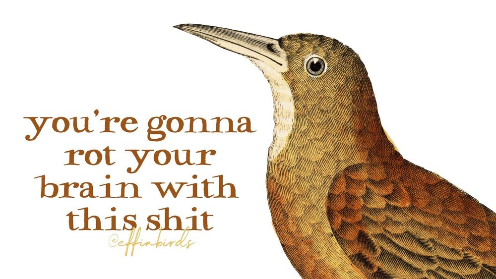 A painting of a bird beside the text "you're gonna rot your brain with this shit"