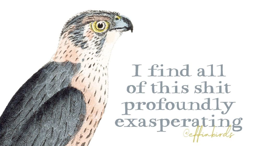 A painting of a bird next to the words "I find all of this shit profoundly exasperating"