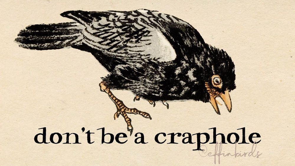 A painting of a bird next to the words "don't be a craphole"