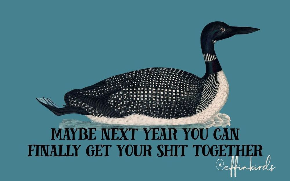 A painting of a bird beside the text "maybe next year you can finally get your shit together"