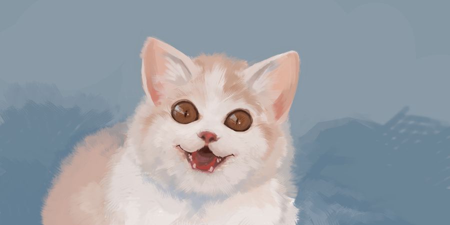 a light orange and white kitten, wide eyed and smiling at the viewer with an open mouth. 