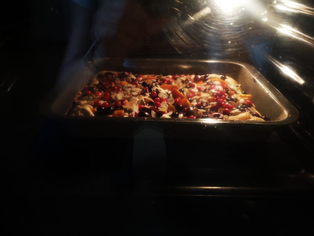 Kuchen mit Marillen und Beeren im Backrohr