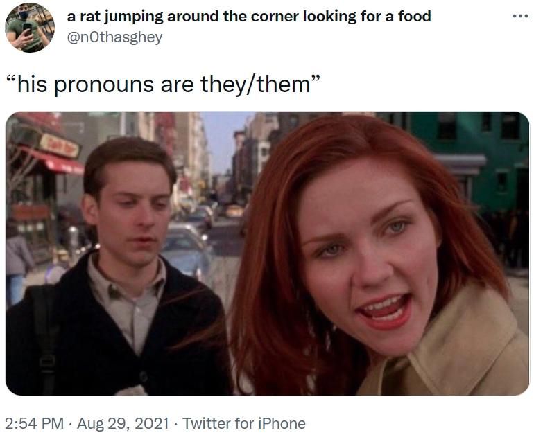 twitter post of a meme by @n0thasghey that shows a still from the original Spider-Man movie with MJ turning and yelling something at someone off screen while Peter Parker is looking awkward. It is captioned "his pronouns are they/them"