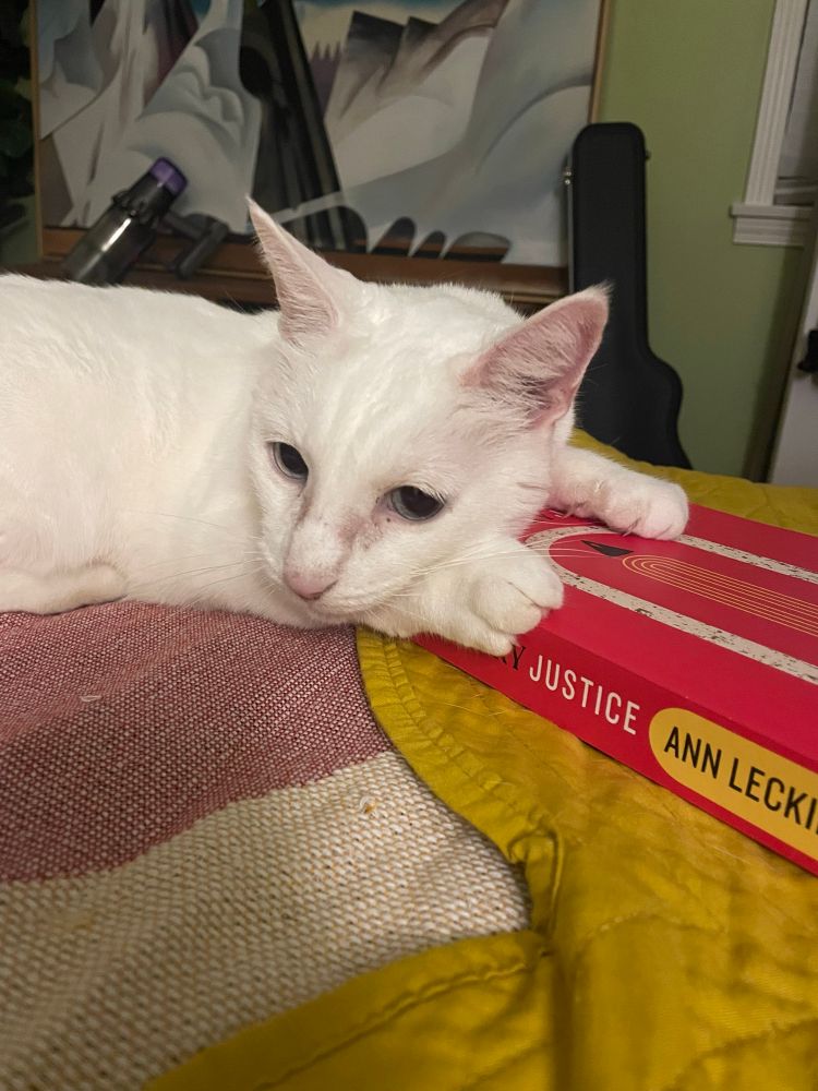 Ghost sleeping on a book