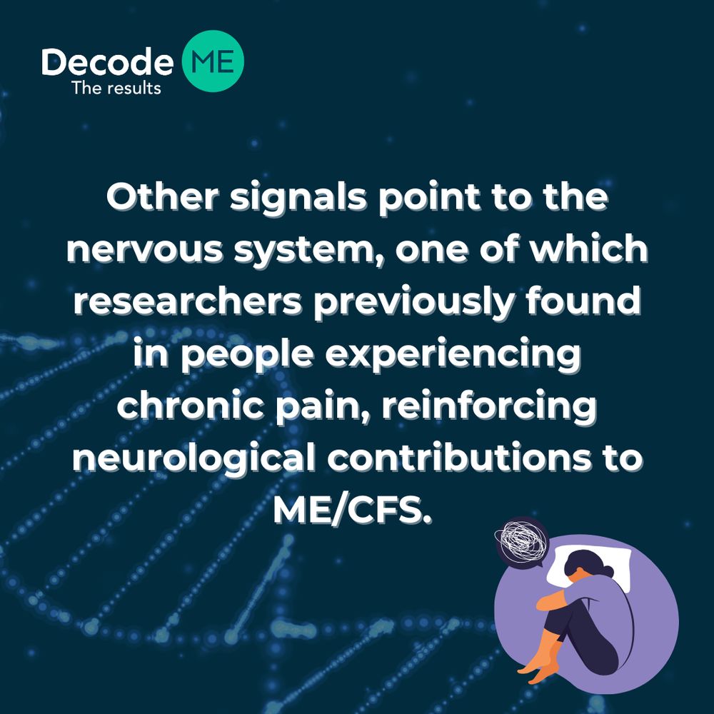 Graphic 3 of 4. DecodeME: The Results graphic. The slide says: ‘Other signals point to the nervous system, one of which researchers previously found in people experiencing chronic pain, reinforcing neurological contributions to ME/CFS’. Beneath this is an image of a person curled up in bed feeling ill.