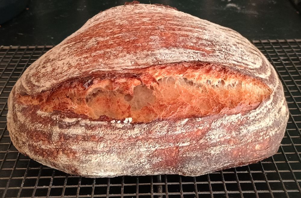 Another delicious looking loaf of sourdough bread. Dark golden brown and dusted with flour.