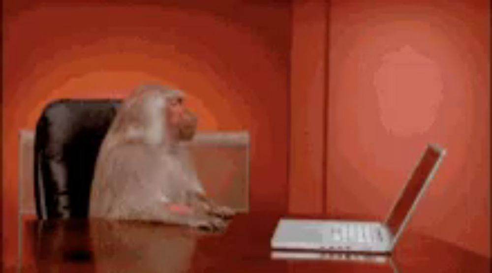 a monkey is sitting at a table with a laptop on it