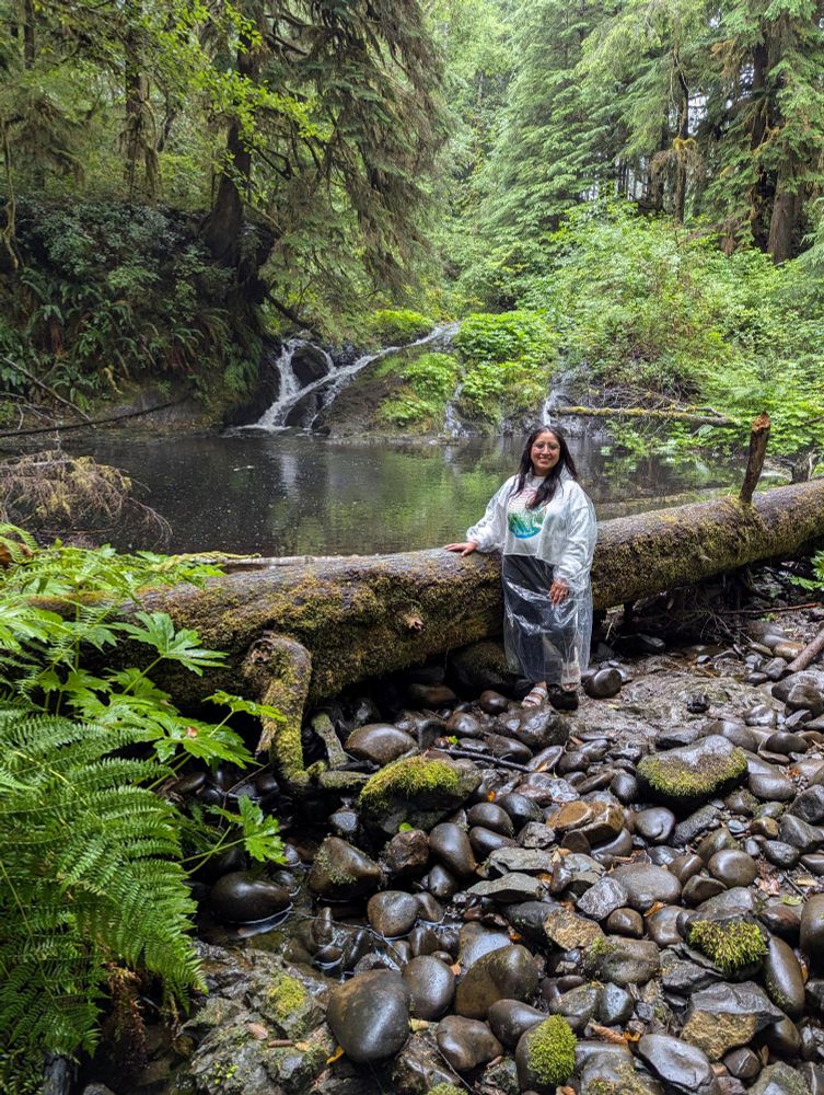 A person stands by a mossy fallen log on the scenic waterfall trail at Mossquatch Resort, featuring a tranquil forest pool and small waterfall, perfect for nature exploration on the Olympic Peninsula.
