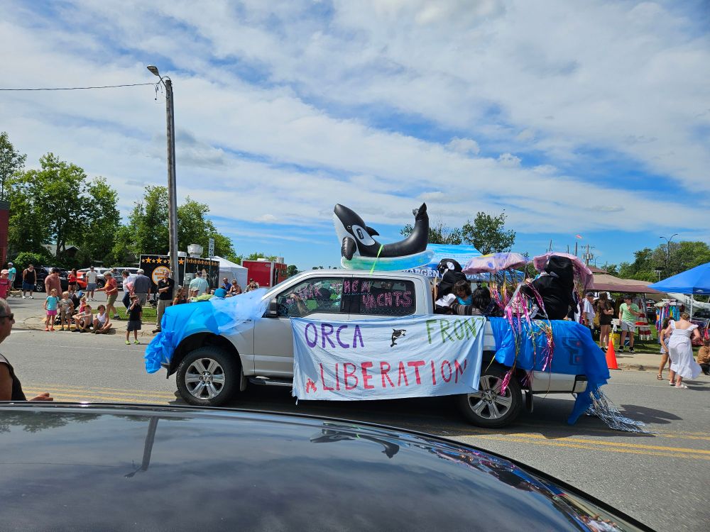 Pick up truck in s parade with a banner on the side that reads "orca front liberation". An inflatable orca is on the roof. People in the bed are dressed in orca and jellyfish costumes. Written on the driver side windows is "sink them yachts!"