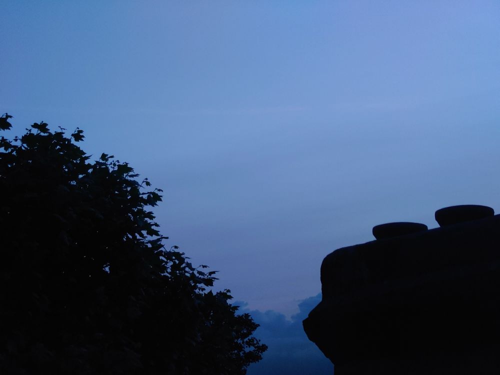 Calm, blue-ish evening sky with silhouettes of a tree and chimney pots.