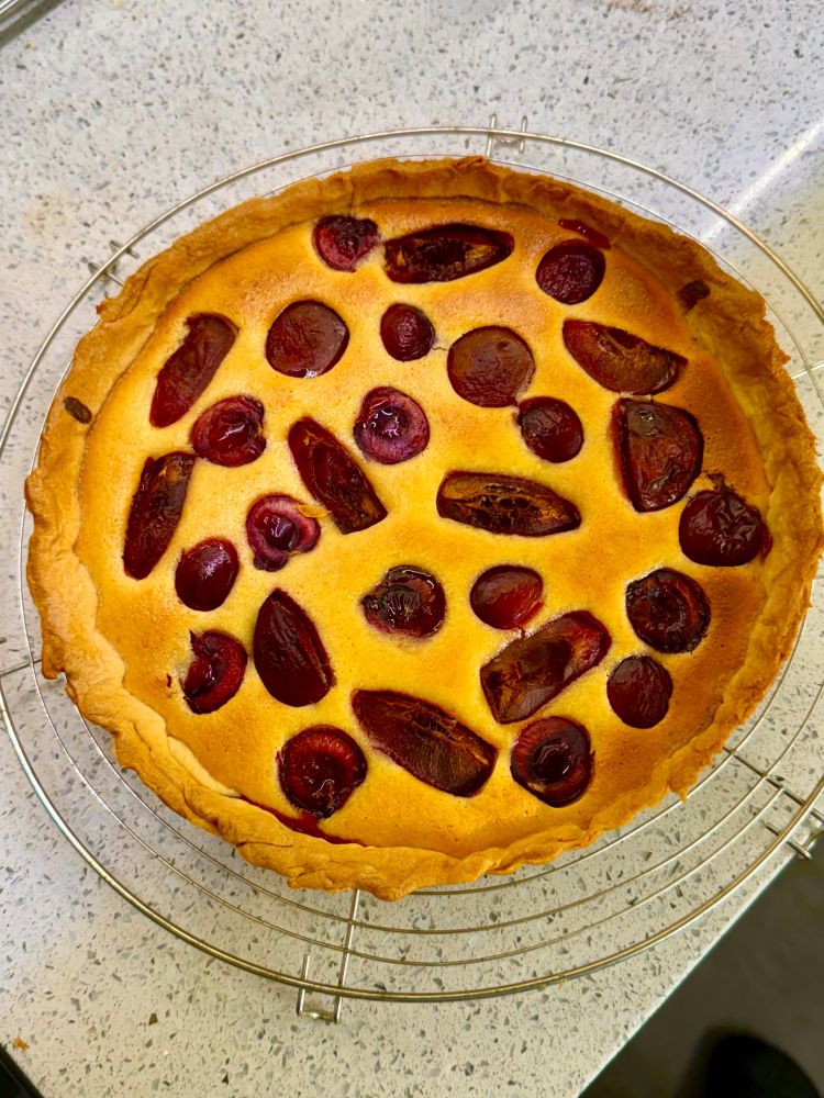A lovely looking cherry and plum vanilla tart on a cooling rack