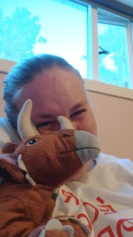 Grátbólgið ing í druslubol knúsar brúna þríhyrnu fyrir framan glugga