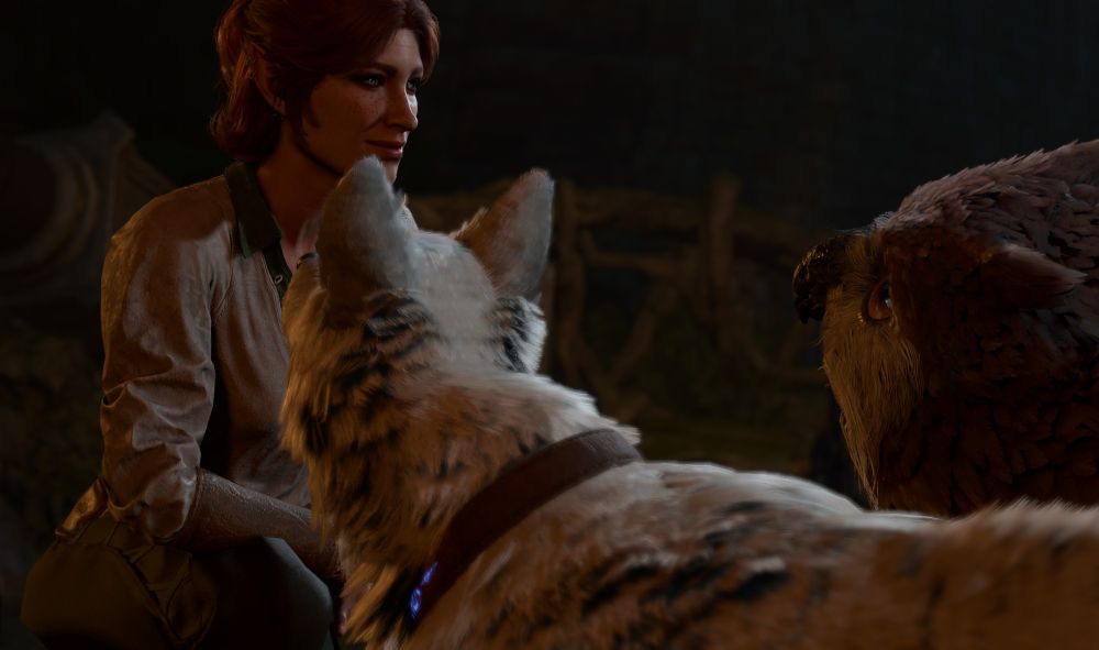 My half-elf Tav looking at Scratch and the owlbear cub.