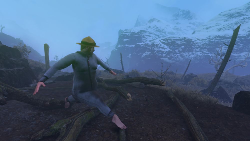 a man in a foggy snowy mountain stands in. widely split step with a cool ranger hat