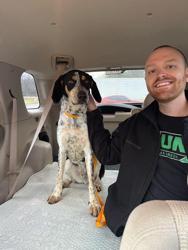 Picture of an adorable bluetick coonhound mix with his new human