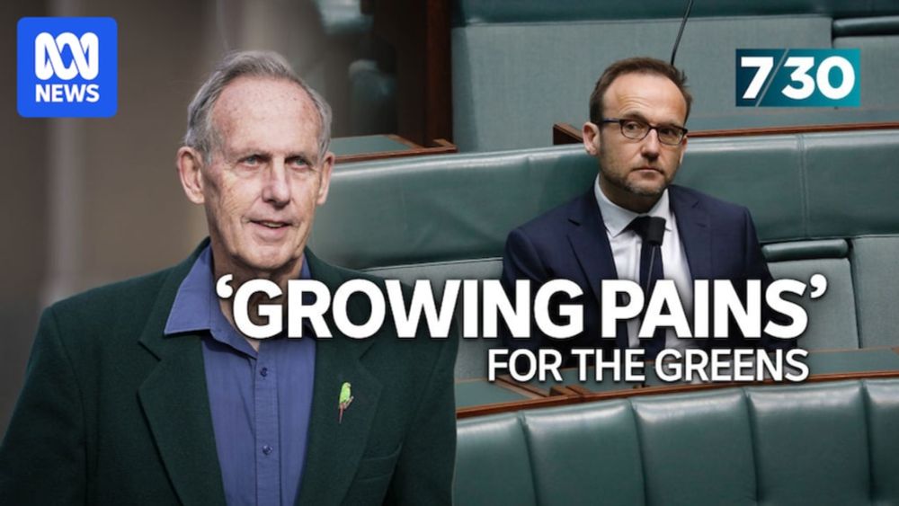 Can the Greens become a viable third force in politics?