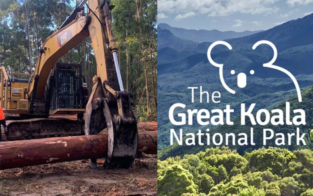 Government Reveals Plans To Rename Great Koala National Park To Below Average Largely De-Forested Koala National Park