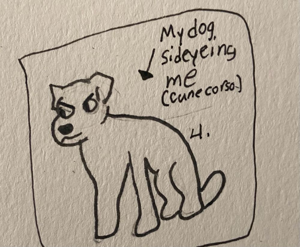 My dog is at the door & is pissed bc I have to go into work later. My dog is a cane corso, he’s a big dog