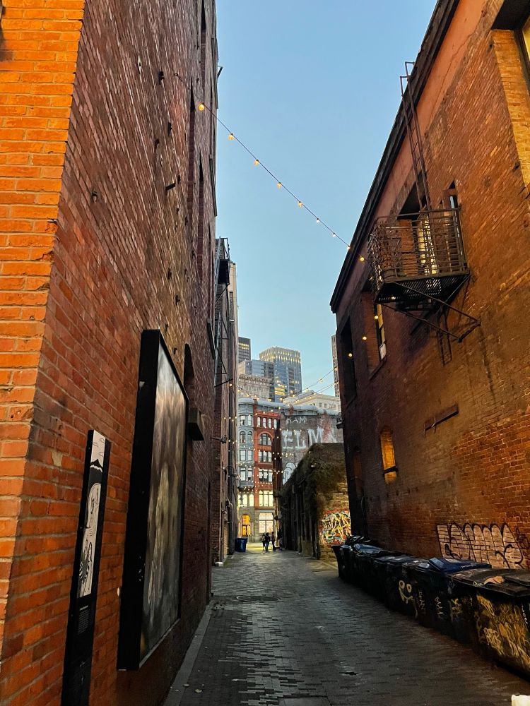 a photo i shot before the FACS show last night - looking down an alley around dusk with some of the buildings of downtown Seattle in the far background with pioneer square older buildings in front of them - some clean and neat with bay windows, others with graffiti - lights are string over the alley and some people are standing at the far end of the alley visible only as shadows in front of lighted windows