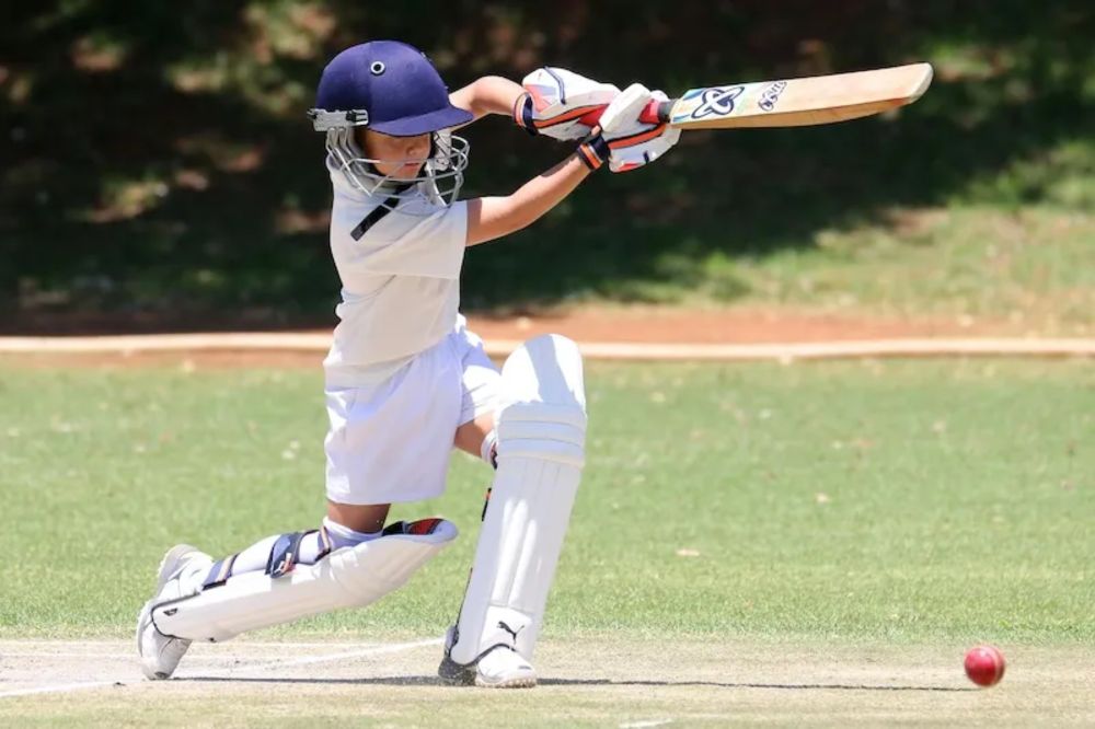 New Cricket Pitches to Open in Waverley West by Spring 2025