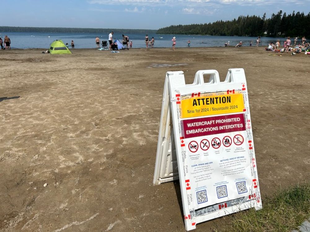 Multiple Juvenile Zebra Mussels Found in Clear Lake