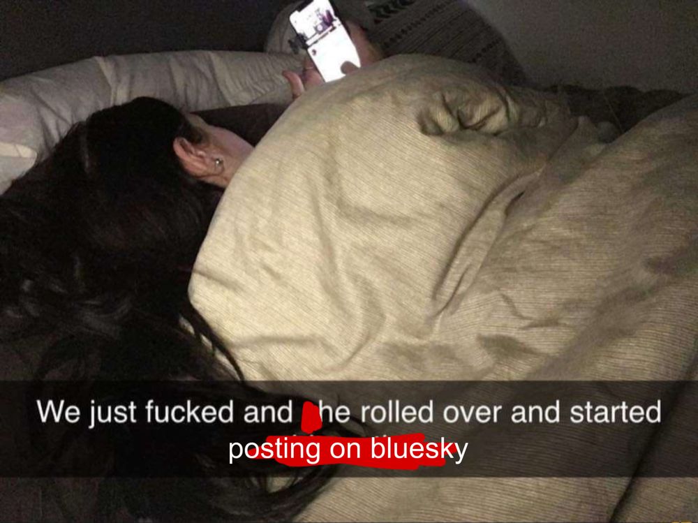 a meme of a person on the phone laying on their side in bed under blankets. it was seemingly taken on Snapchat with the caption “we just fucked and he rolled over and started posting on bluesky”