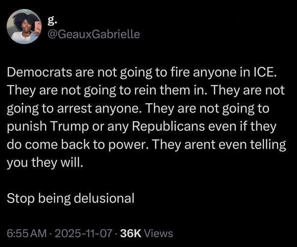 g.
@GeauxGabrielle on twitter says:

Democrats are not going to fire anyone in ICE. They are not going to rein them in. They are not going to arrest anyone. They are not going to punish Trump or any Republicans even if they do come back to power. They aren't even telling you they will.

Stop being delusional