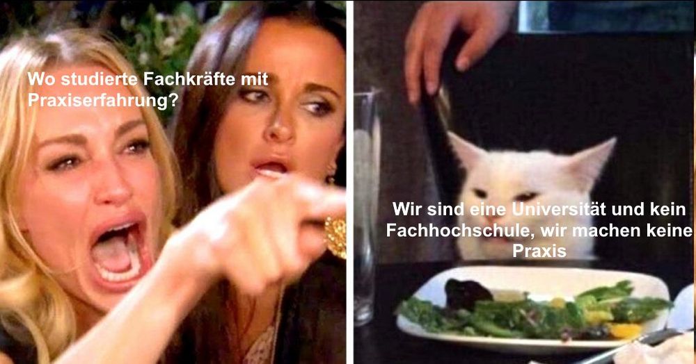 Frau schreit Katze an Meme