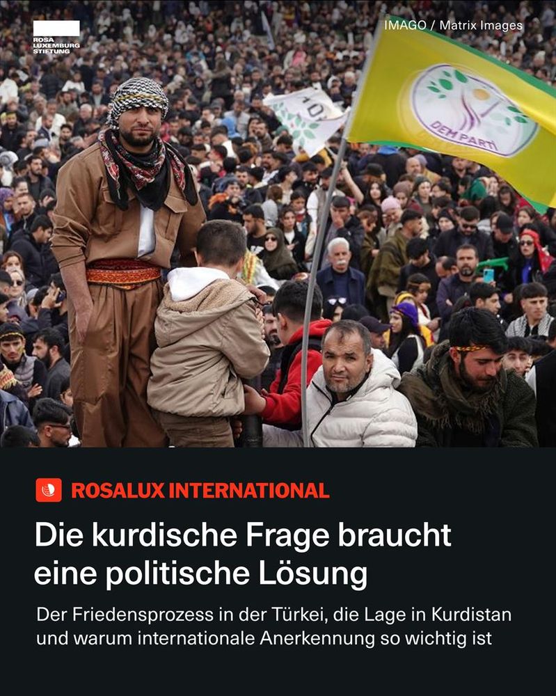 Sharepic mit Foto: Anhänger*innen der Partei für Gleichheit und Demokratie des Volkes (DEM) schwenken die Parteifahne während der Newroz-Feierlichkeiten in Diyarbakir, Türkei, am 21. März 2025. Dazu der Text: Die kurdische Frage braucht eine politische Lösung. Fayik Yagizay von der DEM-Partei über den Friedensprozess in der Türkei, die Lage in Kurdistan und warum internationale Anerkennung so wichtig ist.