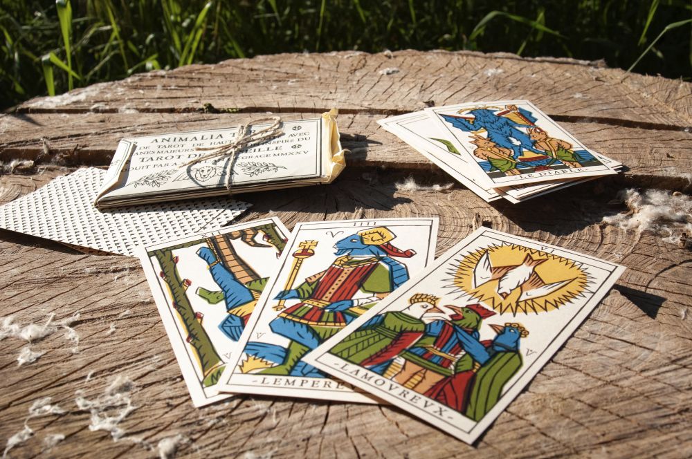 Three tarot cards, featuring anthropomorphic characters, lie on a tree stump. A historically inspired sleeve to hold them lies nearby, as well as more cards.
