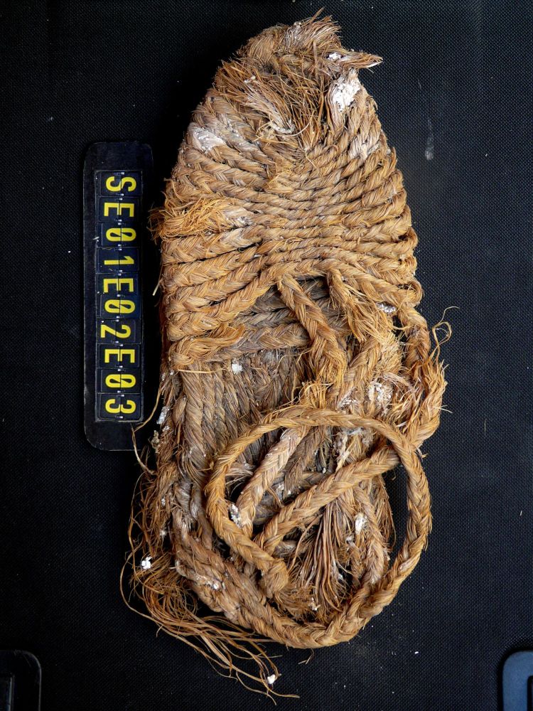 Another example of agobía shoe found in one of the nests.