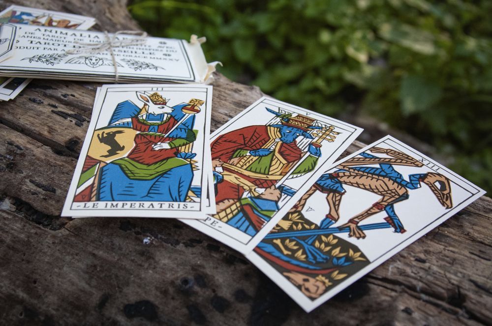 Three tarot cards, featuring anthropomorphic characters, sitting on a log. A historically inspired sleeve to hold them lies nearby.